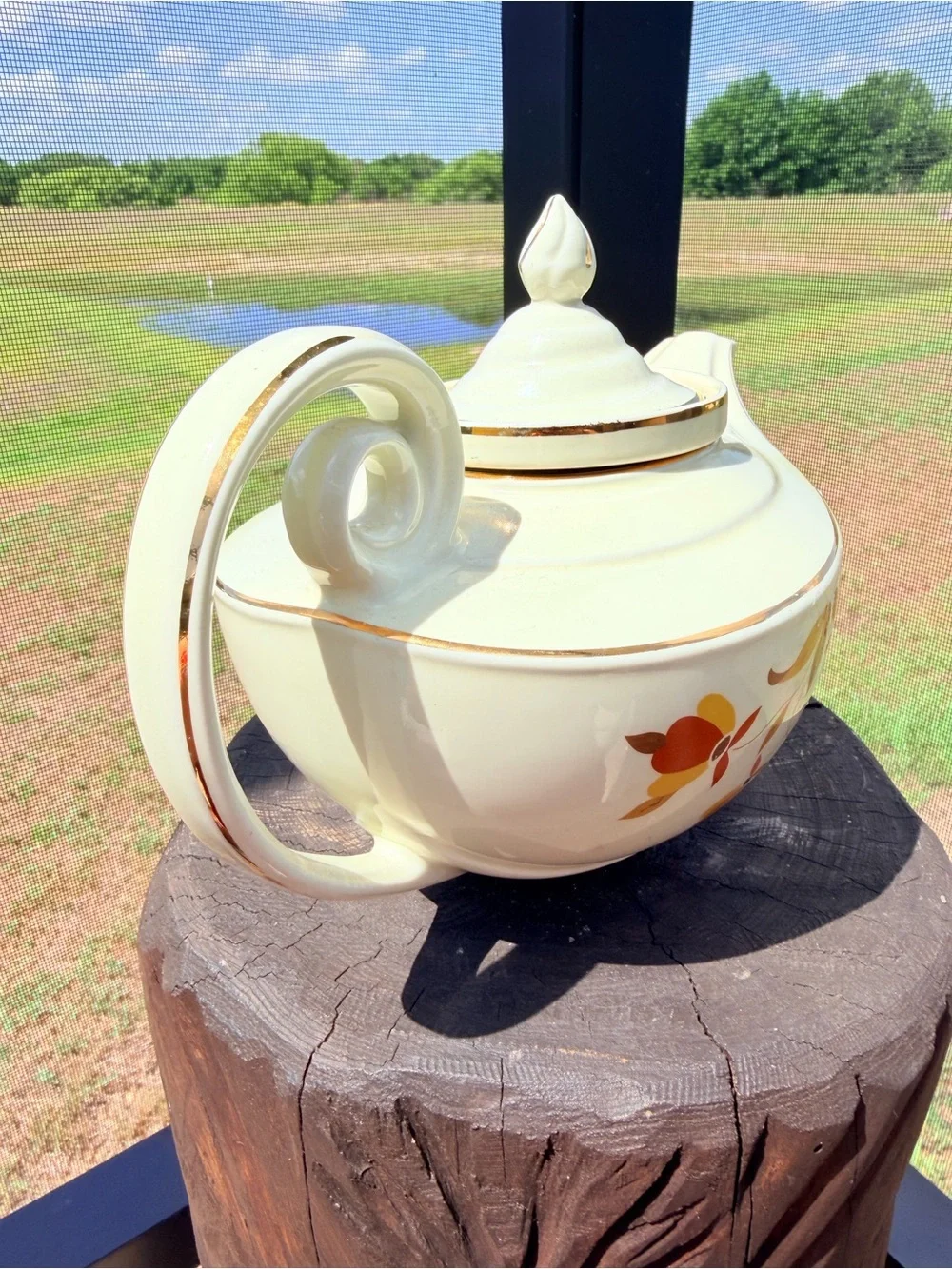 Hall Jewel Tea Autumn Leaf Aladdin Tea Pot & Infuser